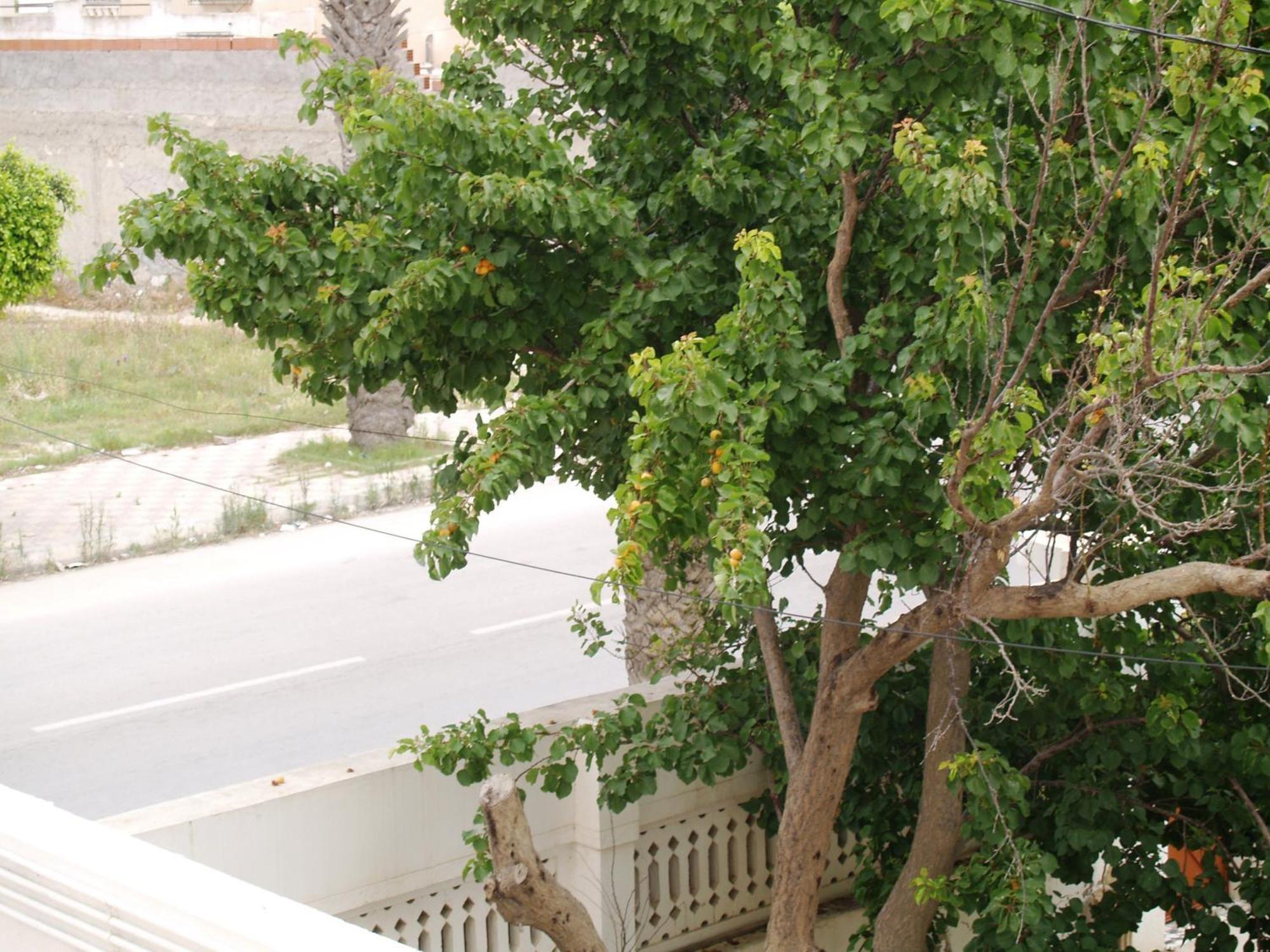 Dar El Amen Appartements Mahdia Rom bilde